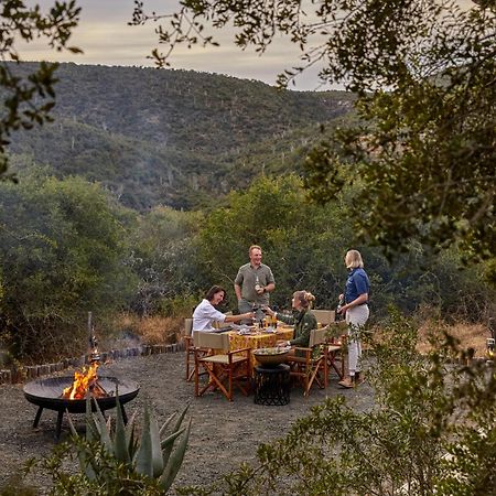 Kwandwe Private Game Reserve - Melton Manor غراهامستاون المظهر الخارجي الصورة